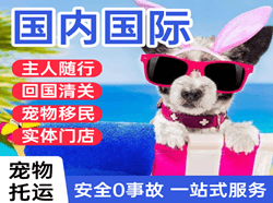 梅州航空运输国际宠物托运 【国